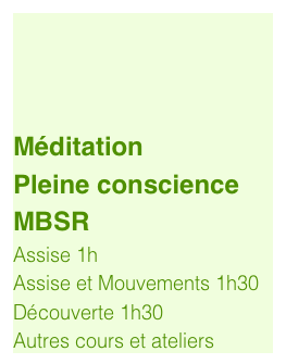 


Méditation 
Pleine conscience MBSR
Assise 1h
Assise et Mouvements 1h30
Découverte 1h30
Autres cours et ateliers