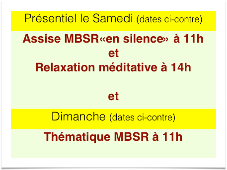 Présentiel le Samedi (dates ci-contre)
Assise MBSR«en silence» à 11h et Relaxation méditative à 14h  et
Dimanche (dates ci-contre)
Thématique MBSR à 11h  